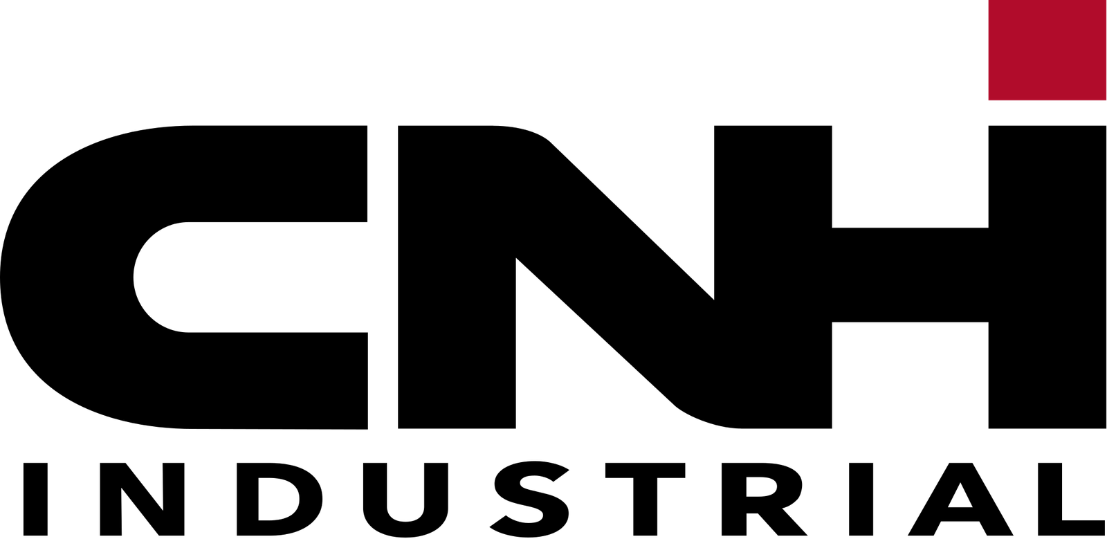 CNH Logo