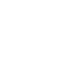 Mail Icon