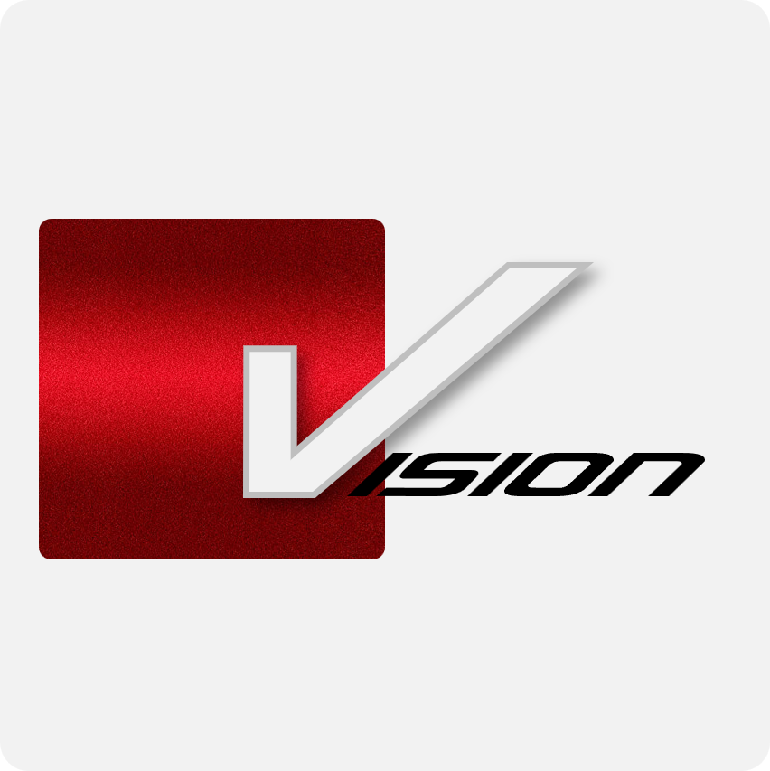 Vision